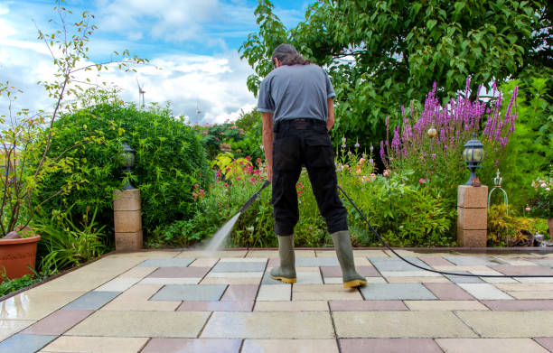 Best Pre-Holiday Cleaning  in Curwensville, PA